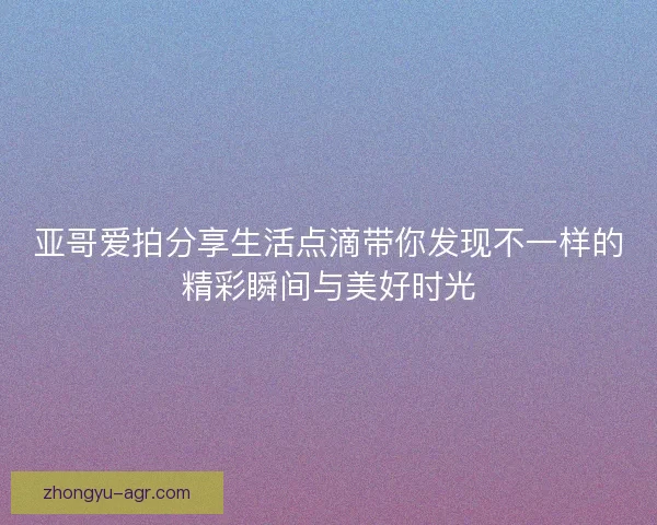 亚哥爱拍分享生活点滴带你发现不一样的精彩瞬间与美好时光