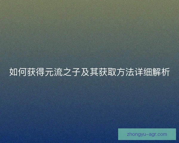 如何获得元流之子及其获取方法详细解析