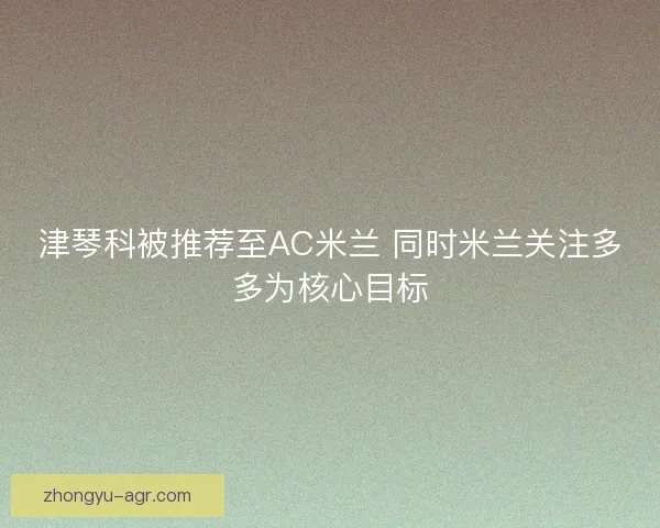 津琴科被推荐至AC米兰 同时米兰关注多多为核心目标