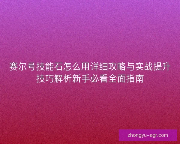 赛尔号技能石怎么用详细攻略与实战提升技巧解析新手必看全面指南