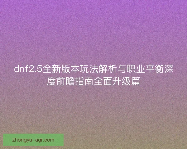 dnf2.5全新版本玩法解析与职业平衡深度前瞻指南全面升级篇