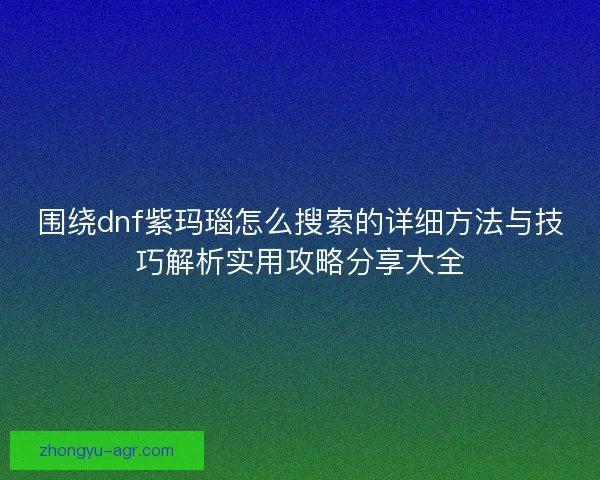 围绕dnf紫玛瑙怎么搜索的详细方法与技巧解析实用攻略分享大全