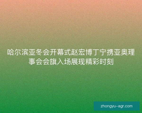 哈尔滨亚冬会开幕式赵宏博丁宁携亚奥理事会会旗入场展现精彩时刻 哈尔滨亚冬会开幕式赵宏博丁宁携亚奥理事会会旗入场展现精彩时刻