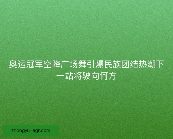 奥运冠军空降广场舞引爆民族团结热潮下一站将驶向何方