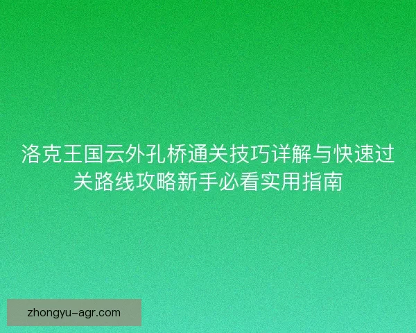 洛克王国云外孔桥通关技巧详解与快速过关路线攻略新手必看实用指南